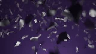Blender confetti simulation Wealth