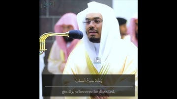 هذا عطاؤنا"تلاوة خاشعة بأعلى طبقات أ.د ياسر الدوسري | سورة ص