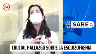 Lo que se sabe: crucial hallazgo sobre el origen de la esquizofrenia | 24 Horas TVN Chile