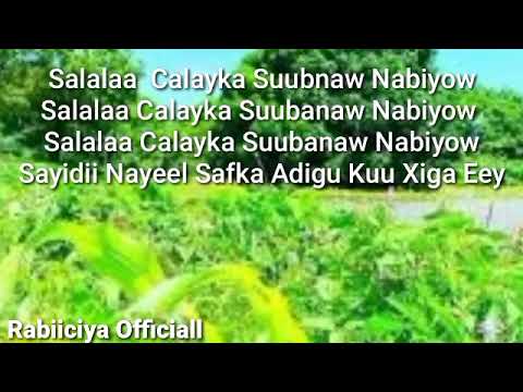Rabiciya Axyaa Sali Nabi Aman Afsomali Ah Aad Umacan Salalaa Calayka Suubanow Nabiyow