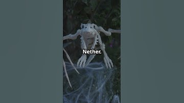 Minecraft Nether Fossils… #minecraft #minecraftshorts #minecraftmemes #minecraftanimation #fyp #fypp