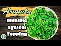 The incredible health benefits of Arugula | Boost your body system