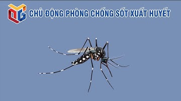 Chủ động phòng chống sốt xuất huyết