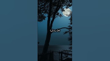 #قرآن #ياسر_الدوسري #اللهم_صل_وسلم_على_نبينا_محمد #quran #سورة_القصص