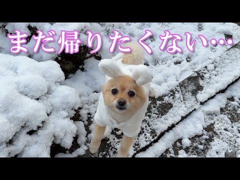 お正月休みが終わってしまいました…