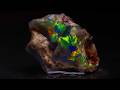 The colour in this rough Opal is incredible - The cut is outstanding!