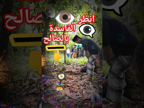 انظر الفاسدةبالصالح نباش للفبور اقتباسات كلام من ذهب قبور اكسبلور ترند اليوم 