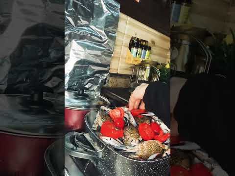 الكبوريا وجمالها اكسبلور عشاءلذيذ 