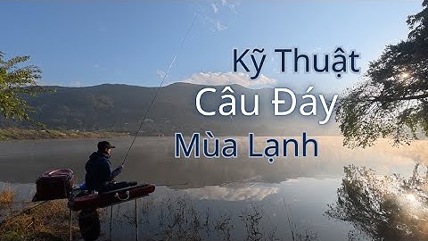 Chia Sẻ Kỹ Thuật Câu Đáy Mùa Lạnh Chuẩn Nhật Bản l Biến Thể Câu Đáy U Đông Set