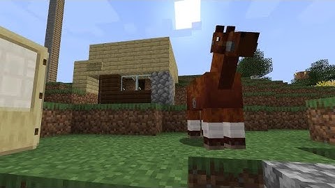 Purity Vanilla: Spawn Exploration