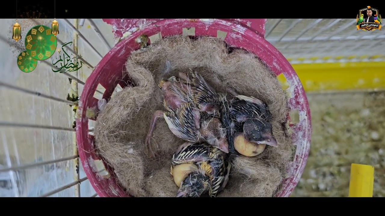 42#/برمضان غير ☺️صياما مقبولا وافطارا هنيئا🤲