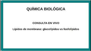 ¿Qué son los glucolípidos en Bioquimica?