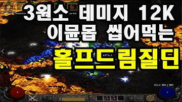 [디아블로2]물리뎀, 라뎀, 콜뎀 세가지 데미지로 이뮨몹 씹어먹는 데미지12K 홀프드림질딘