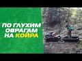 Мотобуксировщик КОЙРА в лесу - первый всесезонный! www.KOiRA.pro