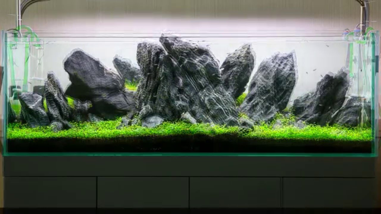 Twinstar Nano Plus - Desenvolvimento de um novo ecossistema