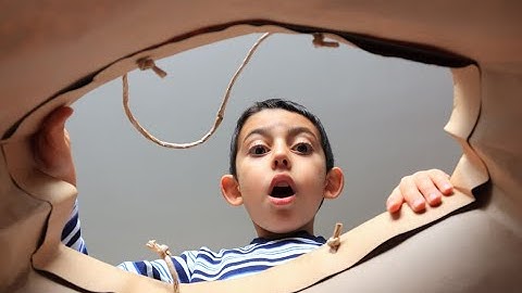 Cardano Mainnet Goes Live Today Here’s What to Expect