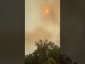 Red Sun & Raining Ash in California Fires