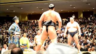 大相撲五月場所幕内 鶴竜・千代の国 座布団投げ 千代の国 検索動画6 大相撲五月場所幕内 鶴竜・千代の国 座布団投げ 千代の国 検索動画 6