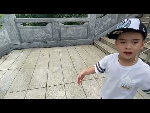 Video Pháp viện Minh Đăng Quang 28/6/2022 - youtube