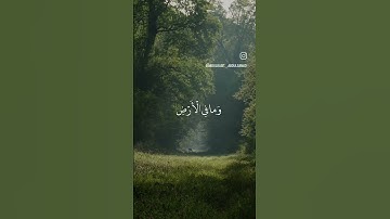 من سورة الحجرات بصوت عبد الباسط عبد الصمد بتلاوة خاشعة تنصت له الأبدان