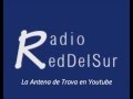 Radio RedDelSur