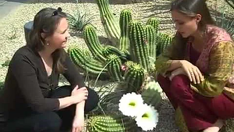 Katie Hess and Lisa Reinhardt Explain Queen of the...