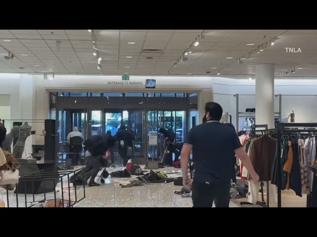 Robbers attack security guard, steal designer purses from Topanga mall  Nordstrom store - ABC7 Los Angeles