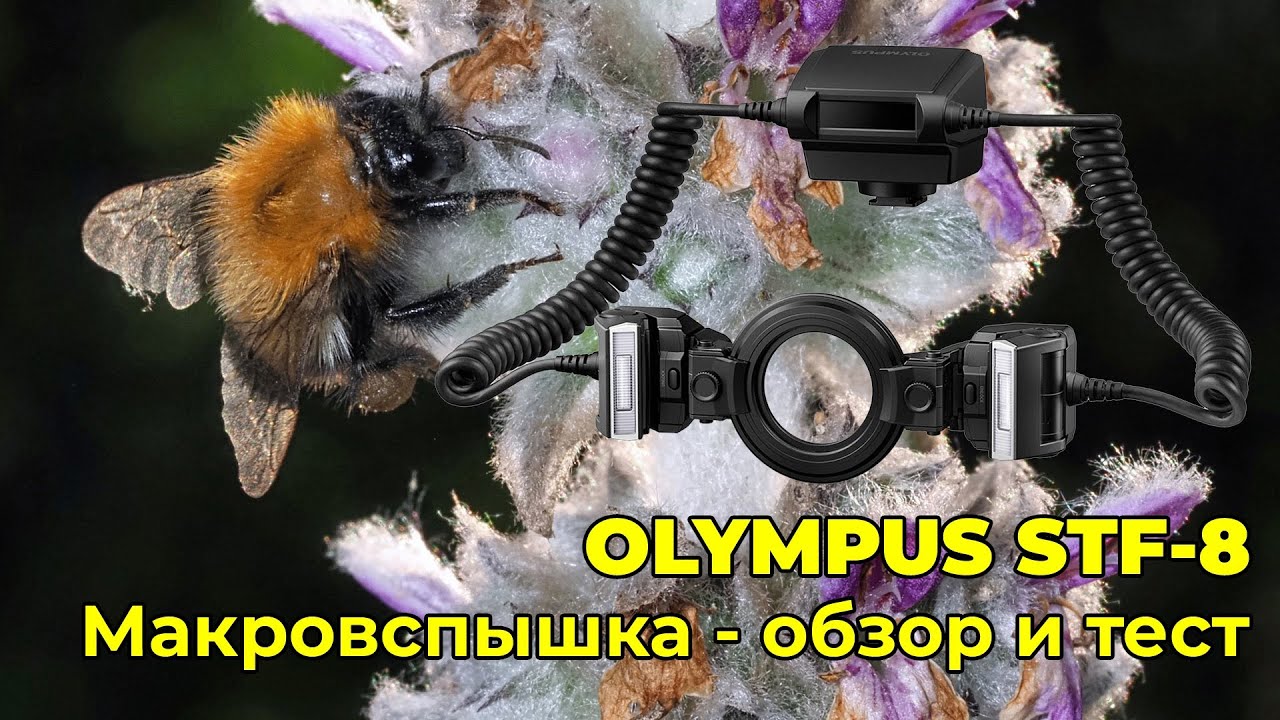 Olympus STF-8 - обзор макровспышки