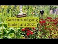 Gartenrundgang ende juni blumen und gemsebeete kbelpflanzen