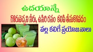 Drinking Hot Water Benefits For Health,Weight Loss | Telugu | Health Benefits of Amla Hot Water