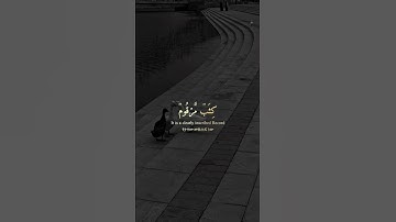 سورة المطففين القارئ بلال دربالي