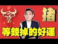 【2021年十二生肖】属猪年運程|好運到可以等錢掉下來