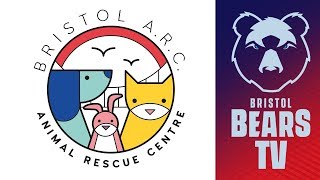 Bears Visit Bristol Animal Rescue Centre