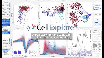CellExplorer: A framework for analyzing and characterizing single cells