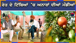 ਰੇਤ ਦੇ ਟਿੱਬਿਆਂ ਚ ਅਨਾਰਾਂ ਦੀਆਂ ਮੰਡੀਆਂ | Maruthalan Toh Paar | Ep 13 | B Social