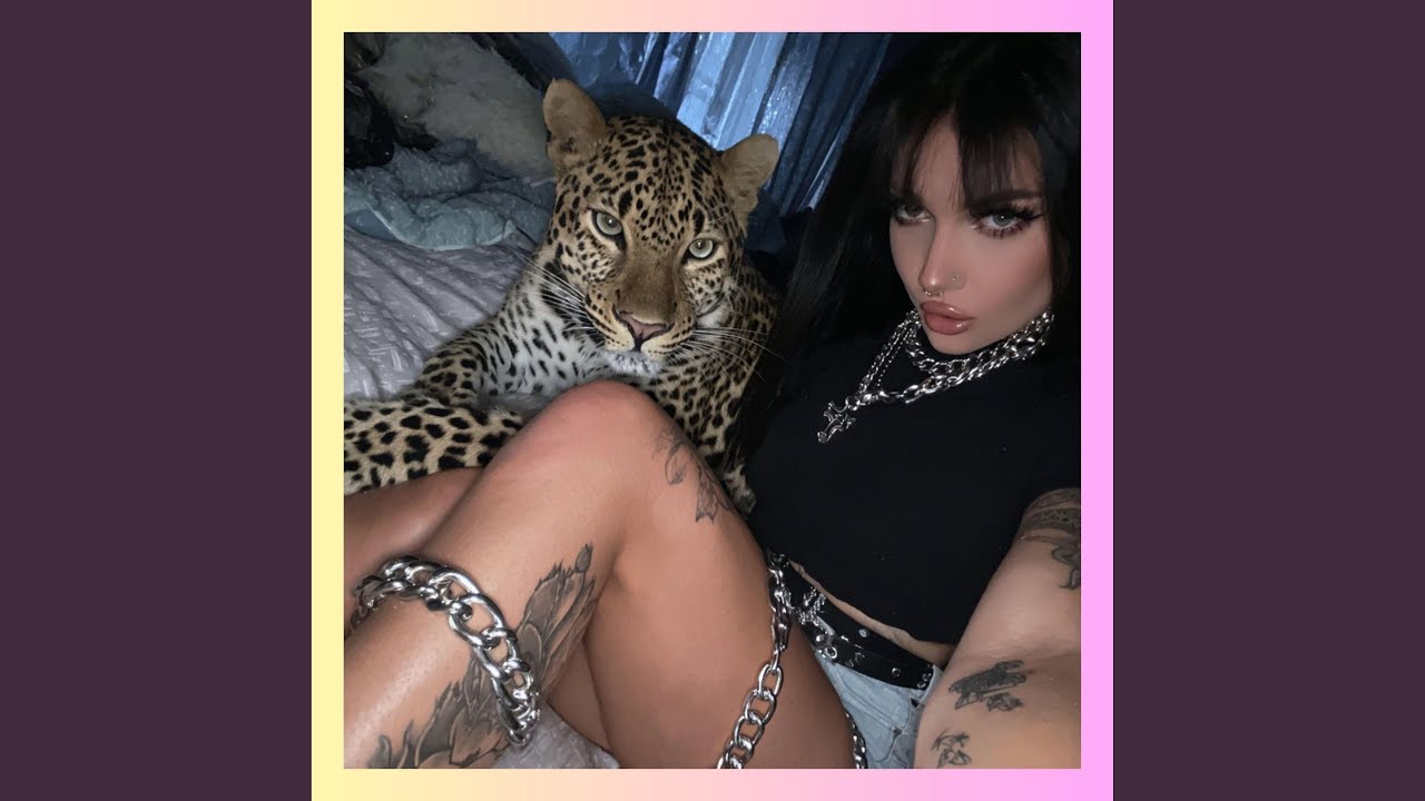 Watch amelka’s back on YouTube Watch amelka’s back on YouTube
