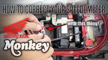 How to correct the Speedometer on a Honda Monkey 125 | 12o