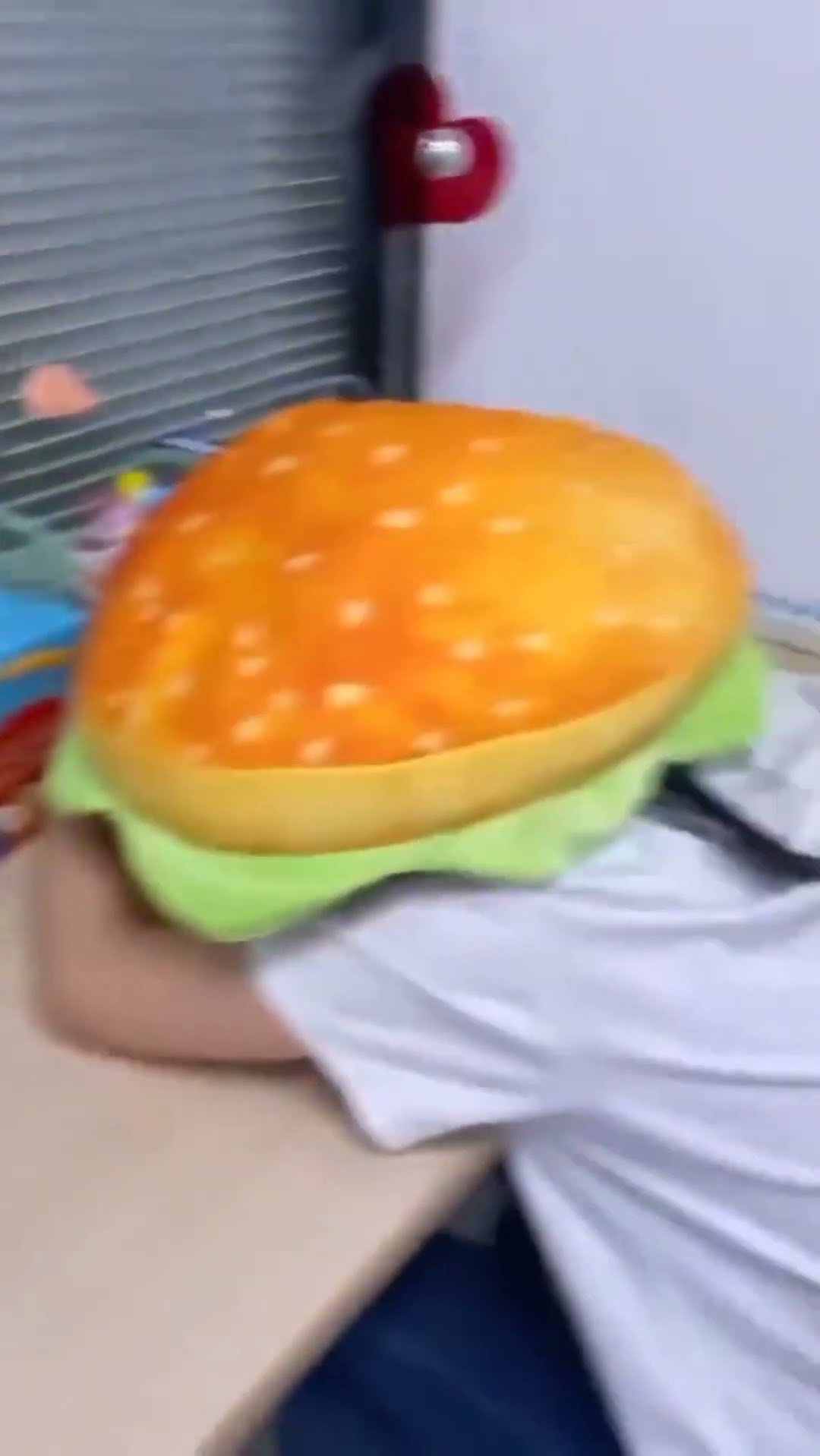 2in1 Comfy Hamburger Pillow Seat Cushion