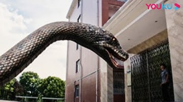 【故事线】巨蛇肆虐学校，小保安带队逆风灭蛇！ |【巨蛇闯女校 Rising Boas in a Girl