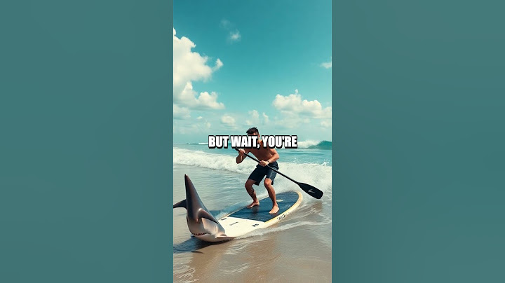 What If You Tried to Use a Shark as Your Personal Trainer?