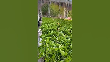 Béc phun mưa xoay 360 độ. Béc tưới cây, béc tưới bãi cỏ công viên sân vườn. 0888542612