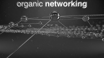 Network Data Connections Opener After Effects Template