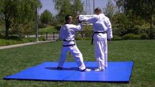Hapkido Attack Techniques Sun Soo Joint Locks 합기도 선수 꺽기  6-10
