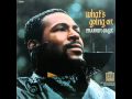 Marvin Gaye - God is Love/Mercy Mercy Me (The Ecology)