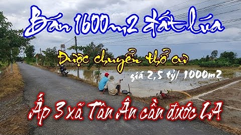 Bán 1600m2 đất lúa được chuyển thổ ấp 3 xã Tân ân cần đước Long An