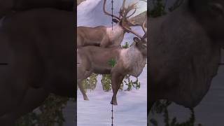 two deer target #shortsviral #shortvideo #shortsyoutube #shortsbeta #shortsfeed screenshot 1