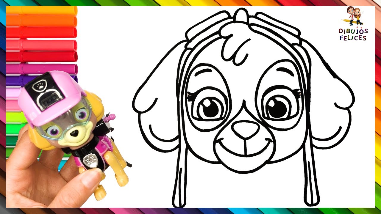 Cómo Dibujar y Colorear A SKYE de La Patrulla Canina (Paw Patrol) 🐾🎀🚁  Dibujos Para Niños - thptnganamst.edu.vn