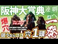 阪神大賞典 2025【穴馬/予想】２年連続的中に自信あり！あの☆穴馬が「一発かます」