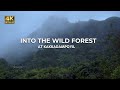 Kakkadampoyil forest  a real forest experience  trekking  vlog69