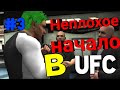 Неплохое начало в UFC-UFC 2010 карьера бойца